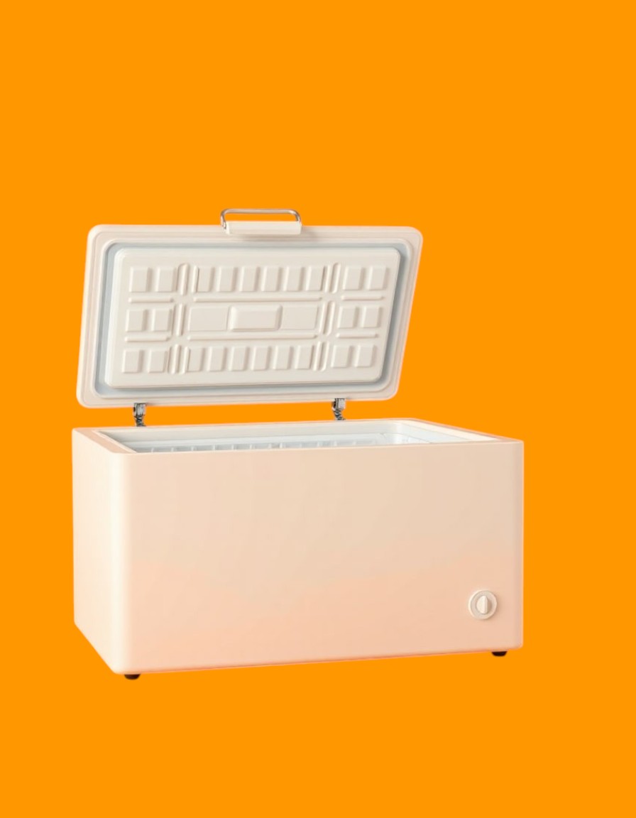 Commercial Chest Freezers for Restaurants and Food Services